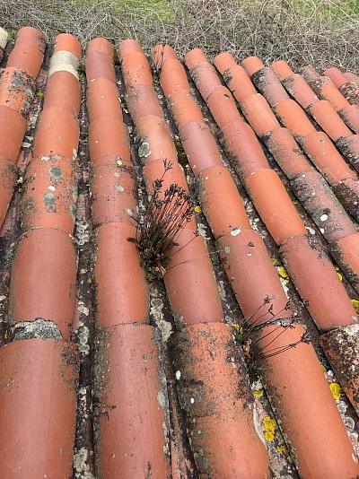 Estimation De vos travaux